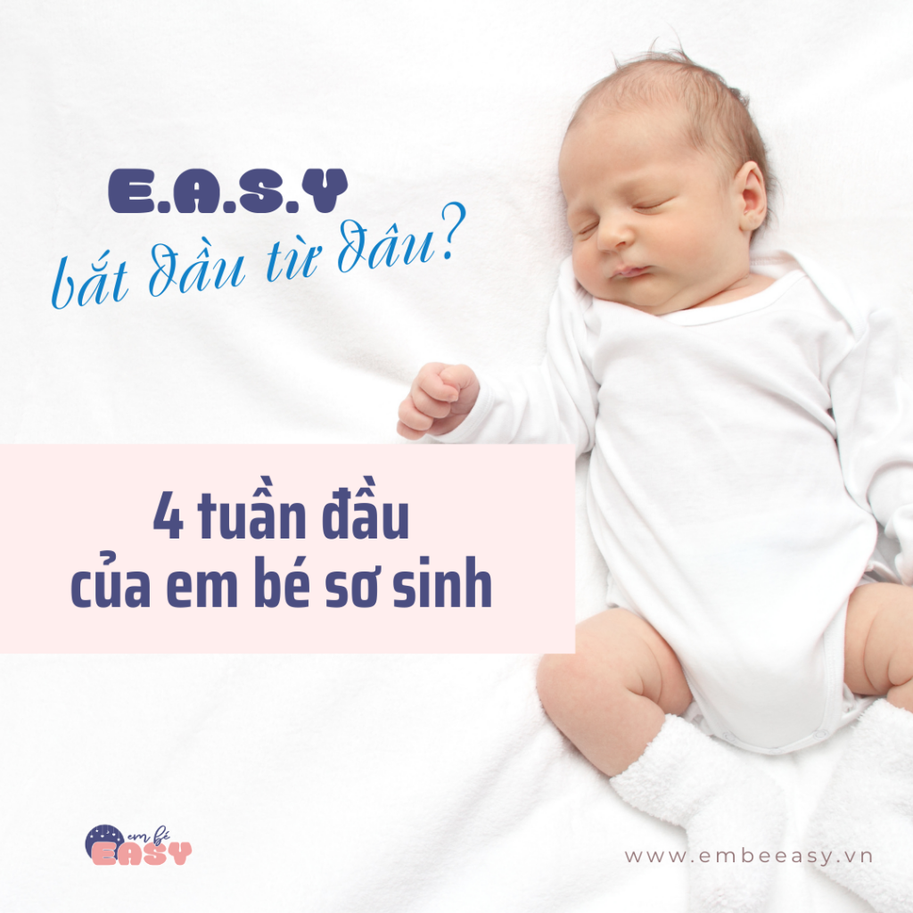 Em bé EASY bắt đầu từ đâu